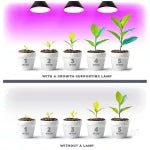 LED növénynevelő izzó fekete PLANTY B 7W E27 (1200K) - Leddy.hu