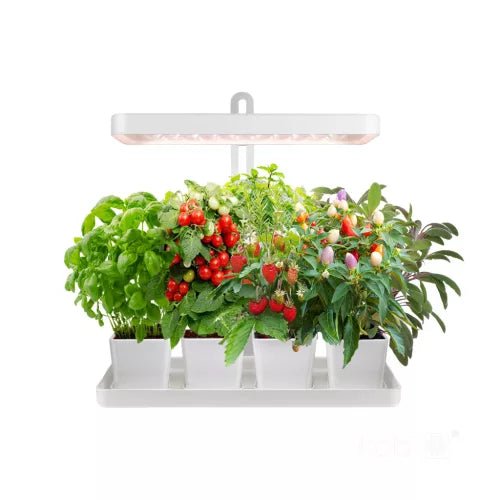 LED növénynevelő lámpa tálcával BLOOM 20W 3500K - Leddy.hu