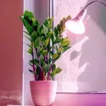LED növénynevelő izzó PLANTY B 7W E27 (1200K) - Leddy.hu