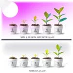 LED növénynevelő izzó PLANTY GS 11W E27 (1200K) - Leddy.hu